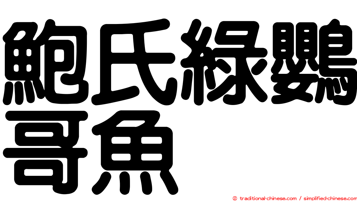 鮑氏綠鸚哥魚