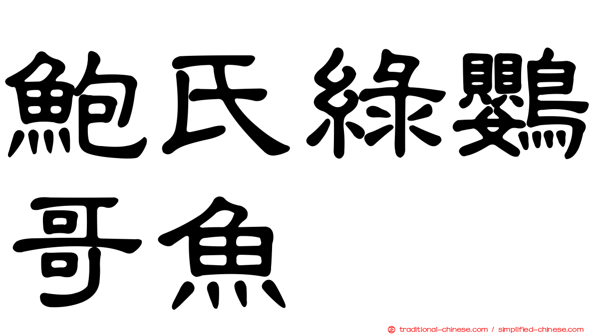 鮑氏綠鸚哥魚