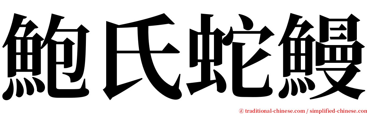 鮑氏蛇鰻 serif font