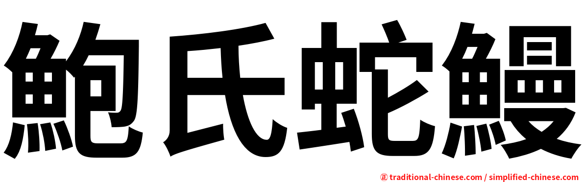 鮑氏蛇鰻