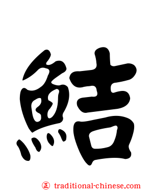 鮚