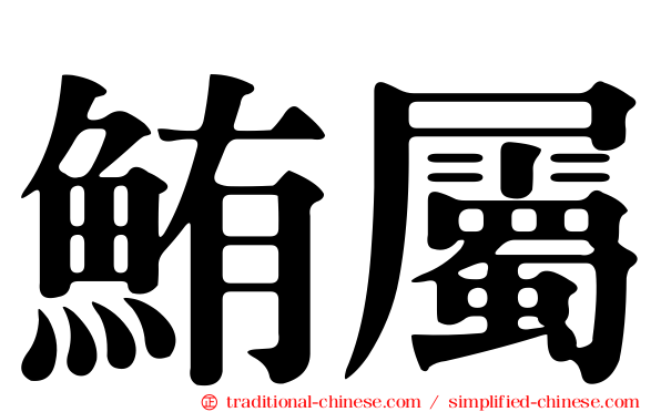 鮪屬