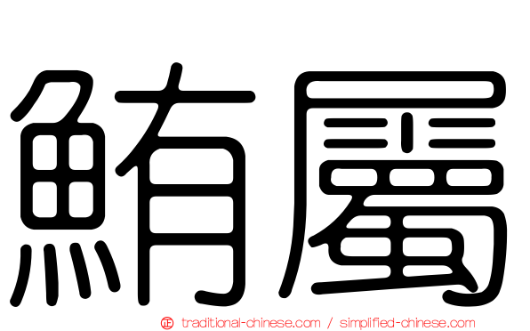鮪屬