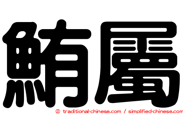 鮪屬