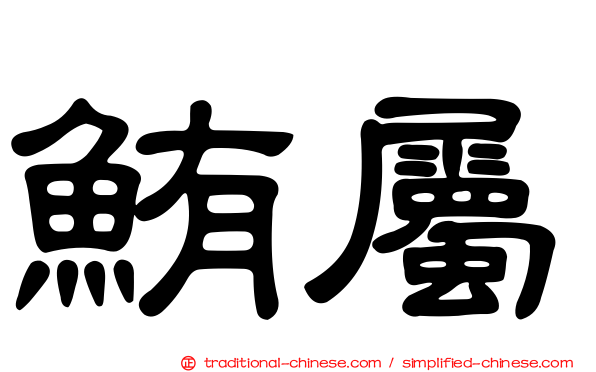 鮪屬