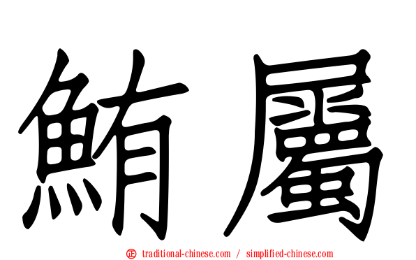 鮪屬