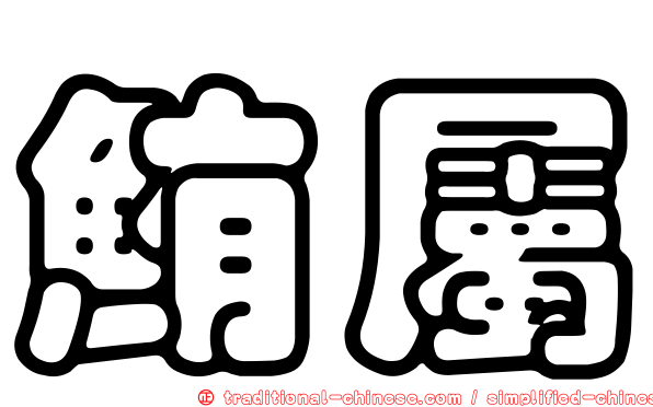 鮪屬