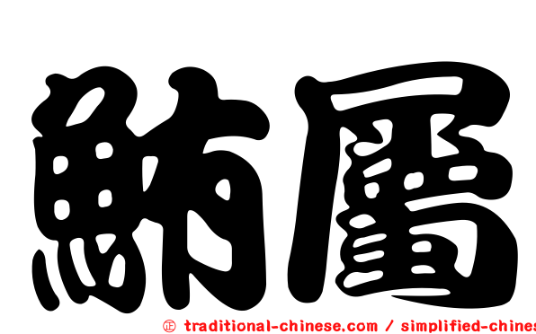 鮪屬