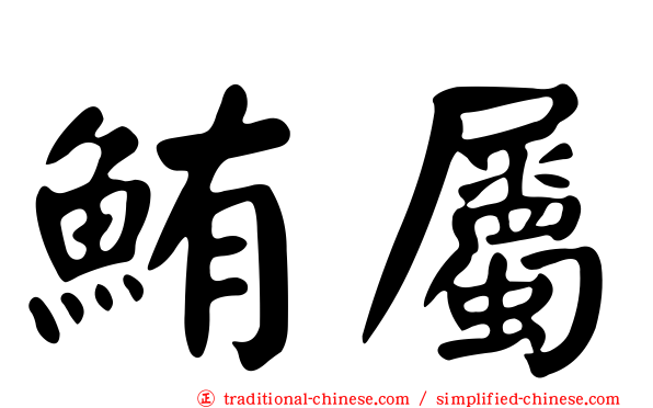 鮪屬