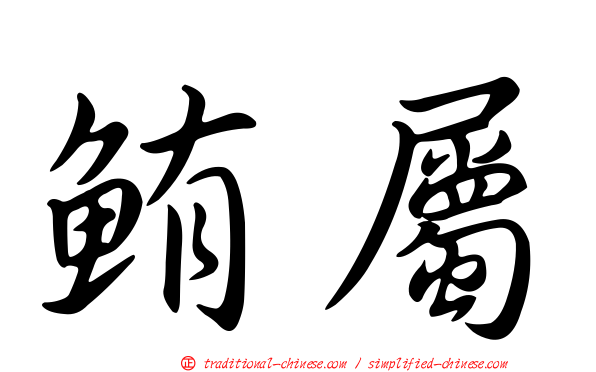 鮪屬