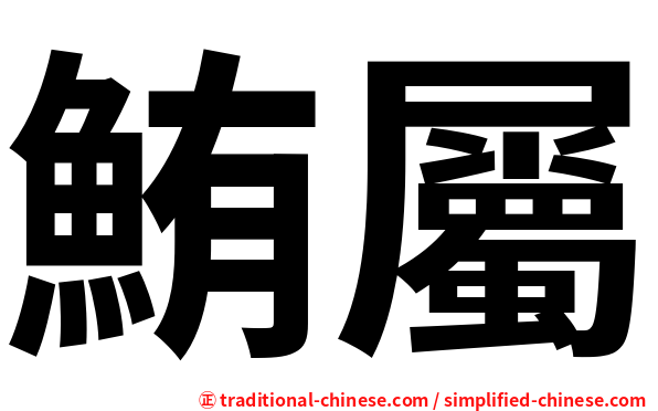 鮪屬