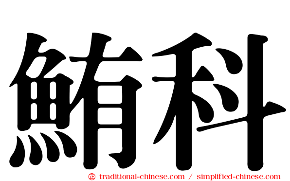 鮪科