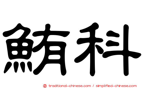 鮪科