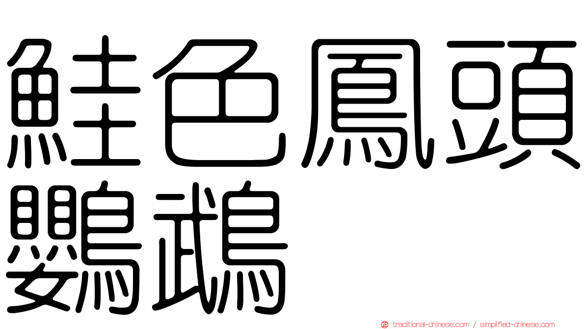 鮭色鳳頭鸚鵡