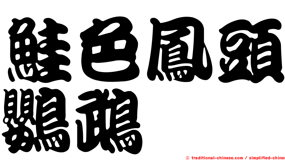 鮭色鳳頭鸚鵡