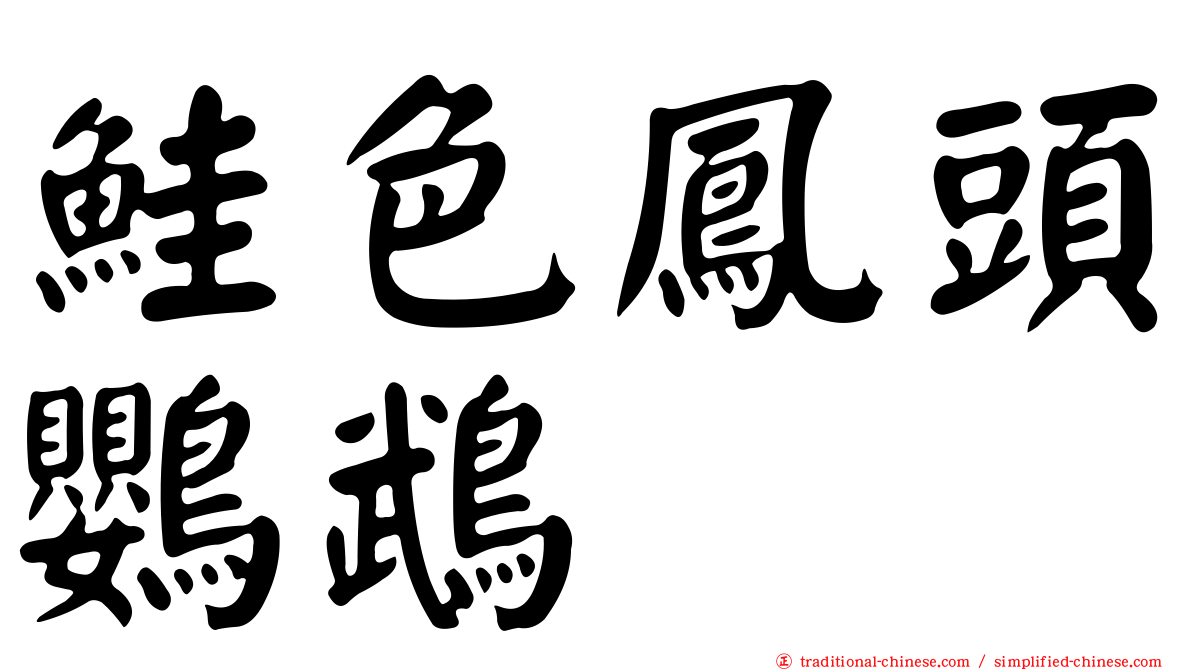 鮭色鳳頭鸚鵡