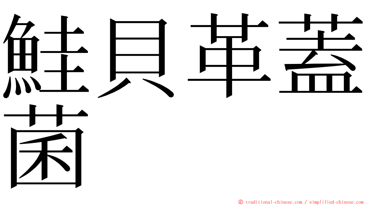 鮭貝革蓋菌 ming font