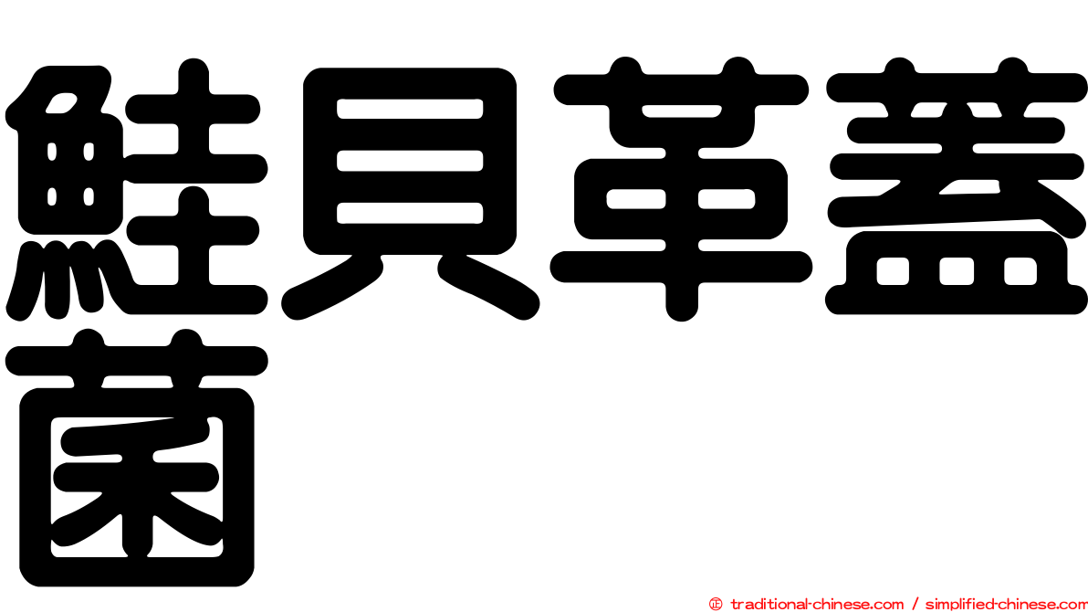 鮭貝革蓋菌