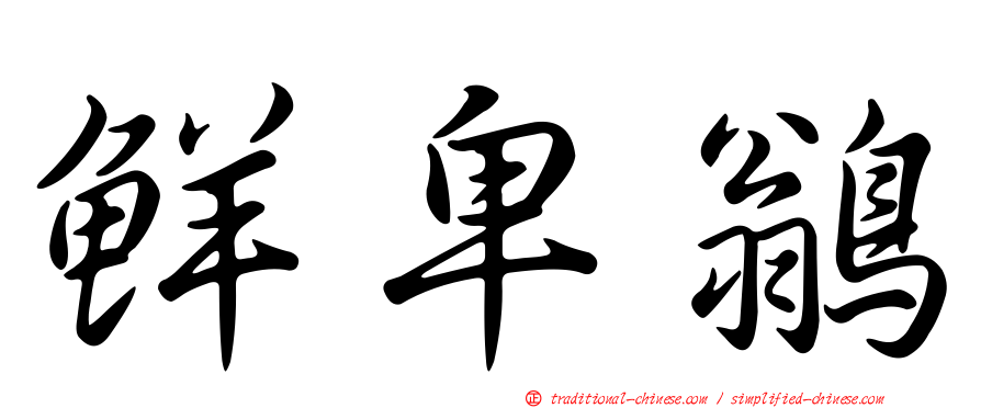 鮮卑鶲