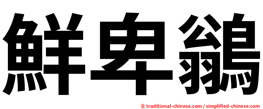 鮮卑鶲