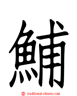 鯆