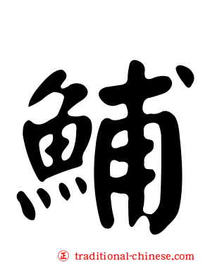 鯆