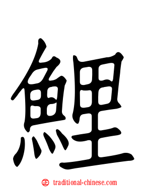 鯉