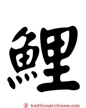 鯉