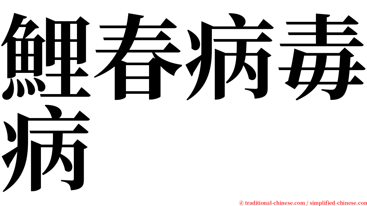 鯉春病毒病 serif font