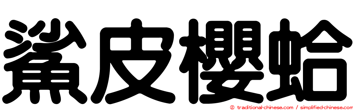 鯊皮櫻蛤