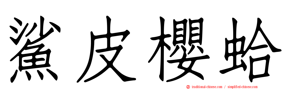 鯊皮櫻蛤