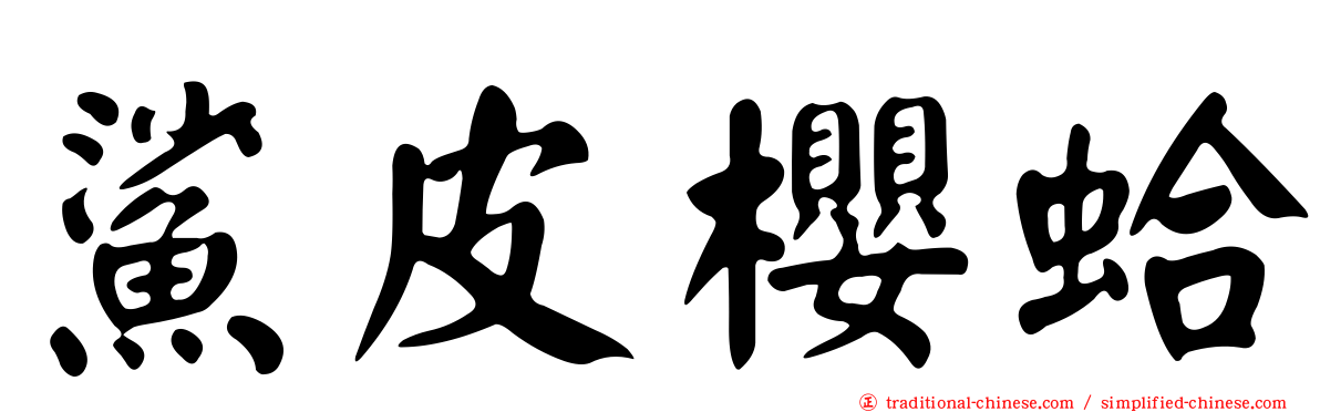 鯊皮櫻蛤