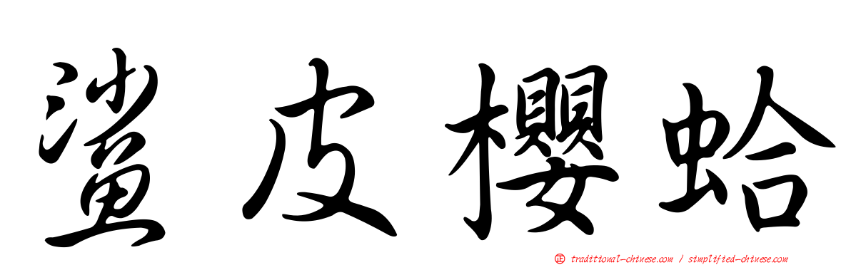 鯊皮櫻蛤