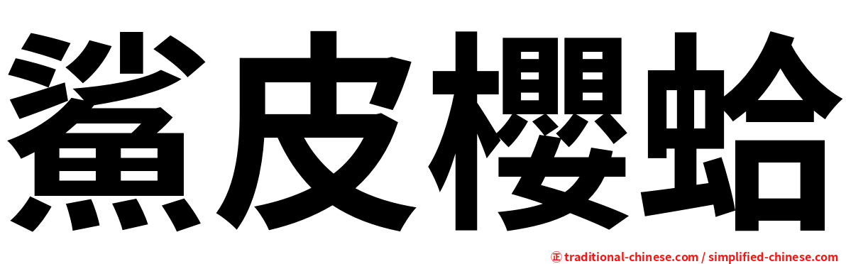 鯊皮櫻蛤