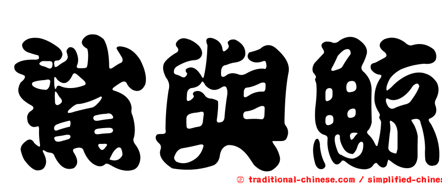 鯊與鯨