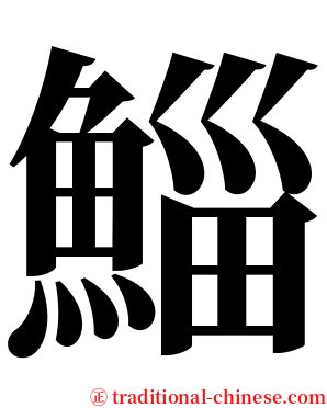 鯔 serif font