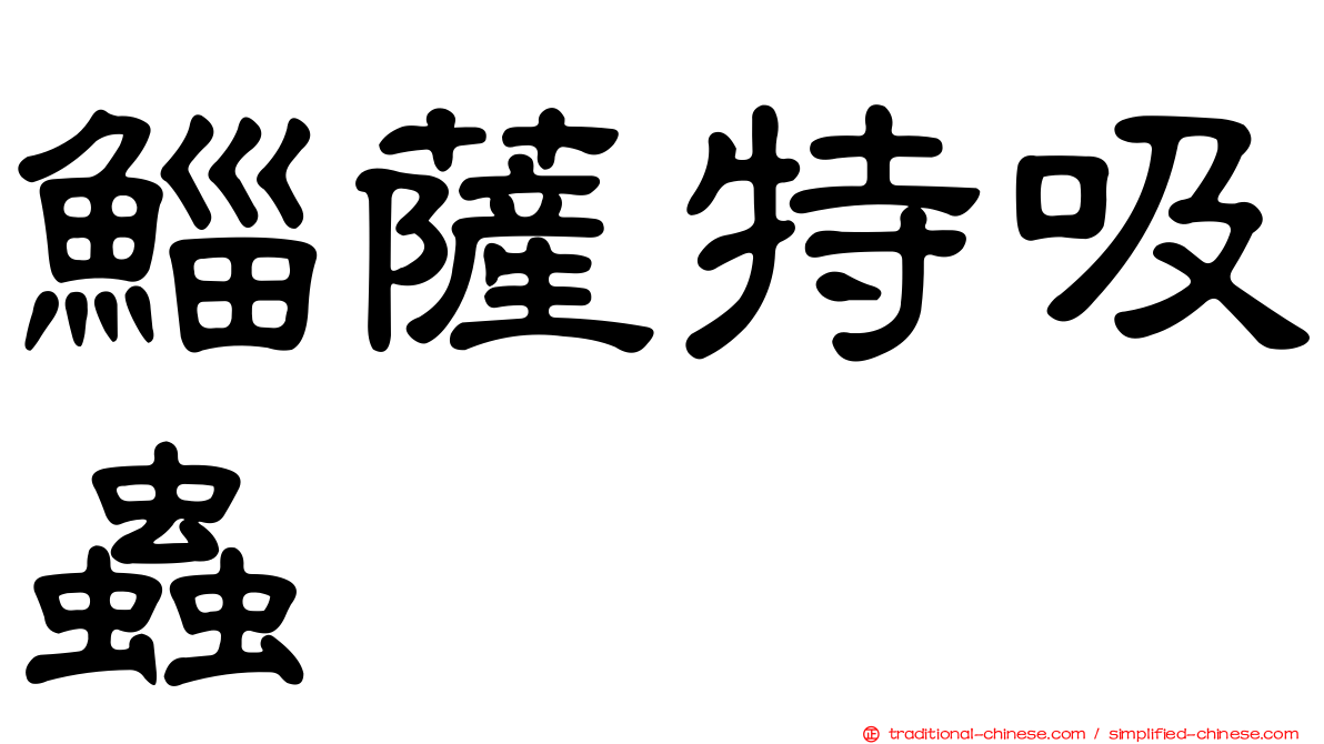 鯔薩特吸蟲