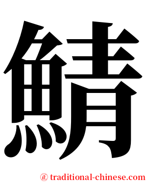 鯖 serif font