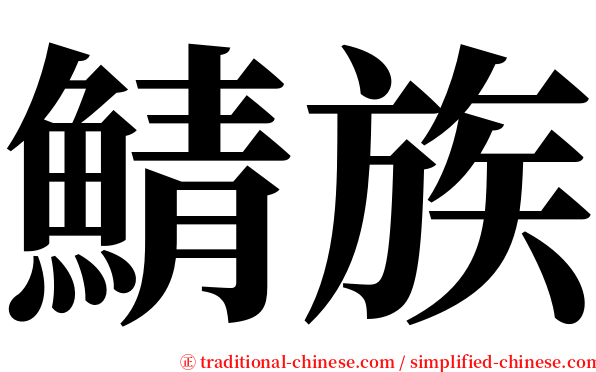 鯖族 serif font