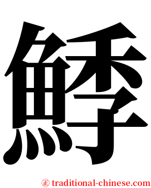 鯚 serif font