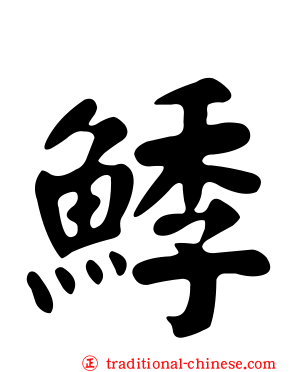 鯚