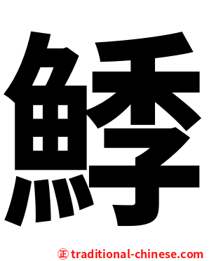 鯚