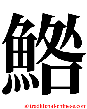 鯦 serif font