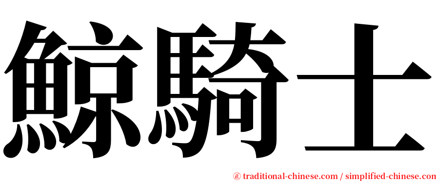 鯨騎士 serif font