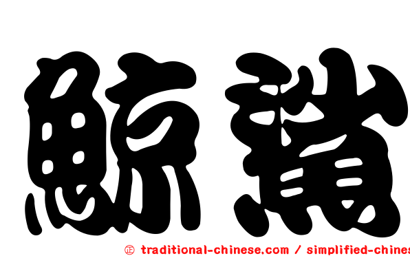 鯨鯊