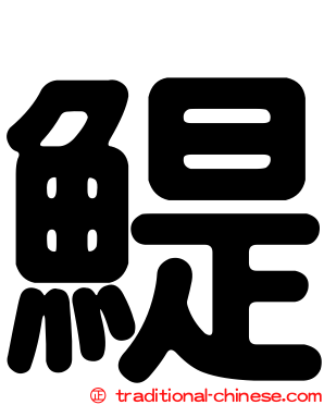鯷