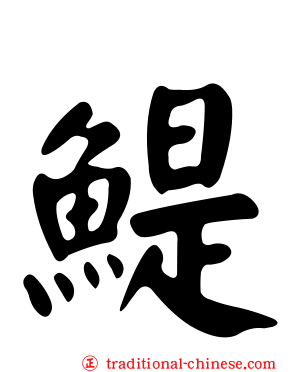 鯷