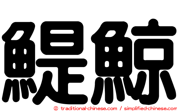 鯷鯨