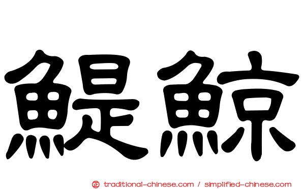 鯷鯨