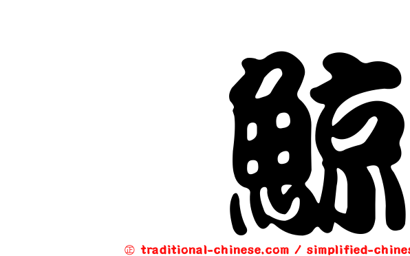 鯷鯨